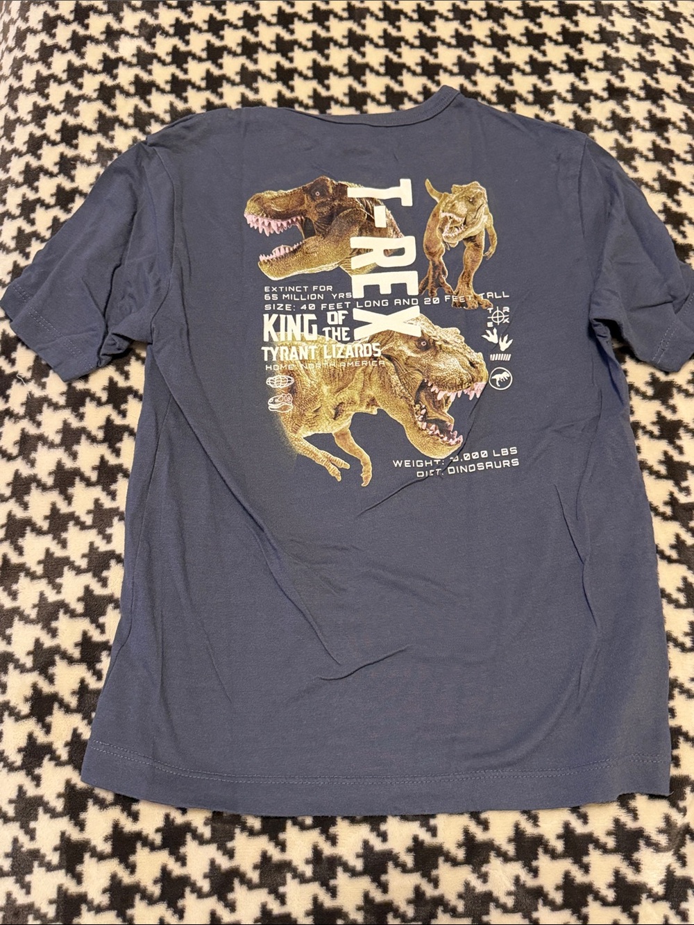 Wonder Nation Graphic Short Sleeve Tee in Blue Size Medium